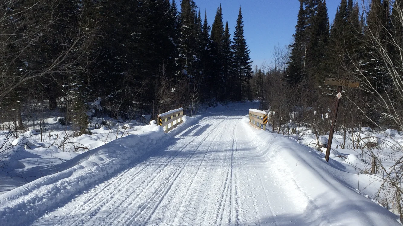 Snowmobile Trail in Two Harbors