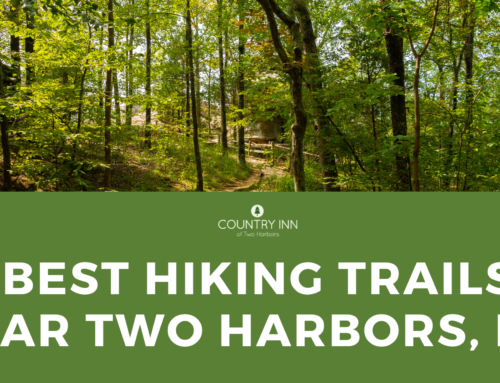 Explore the Best Hiking Trails Near Two Harbors, MN on Minnesota’s North Shore