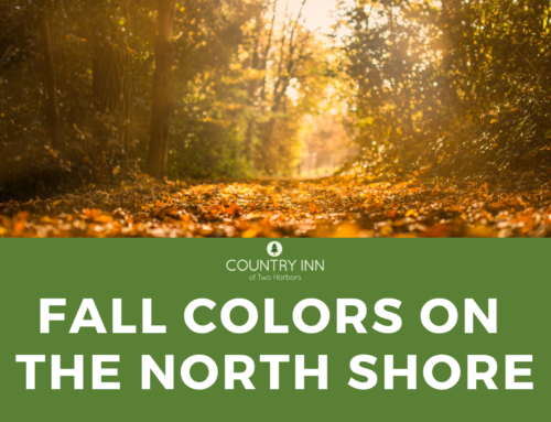 Experience Fall Colors on Minnesota’s North Shore: A Guide to the Best Spots Near Two Harbors