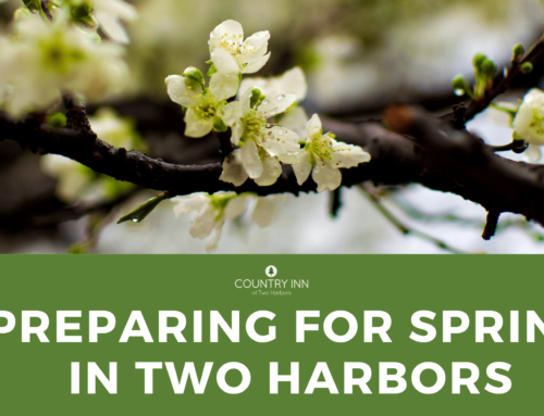 Spring on the North Shore: What to Expect and How to Prepare